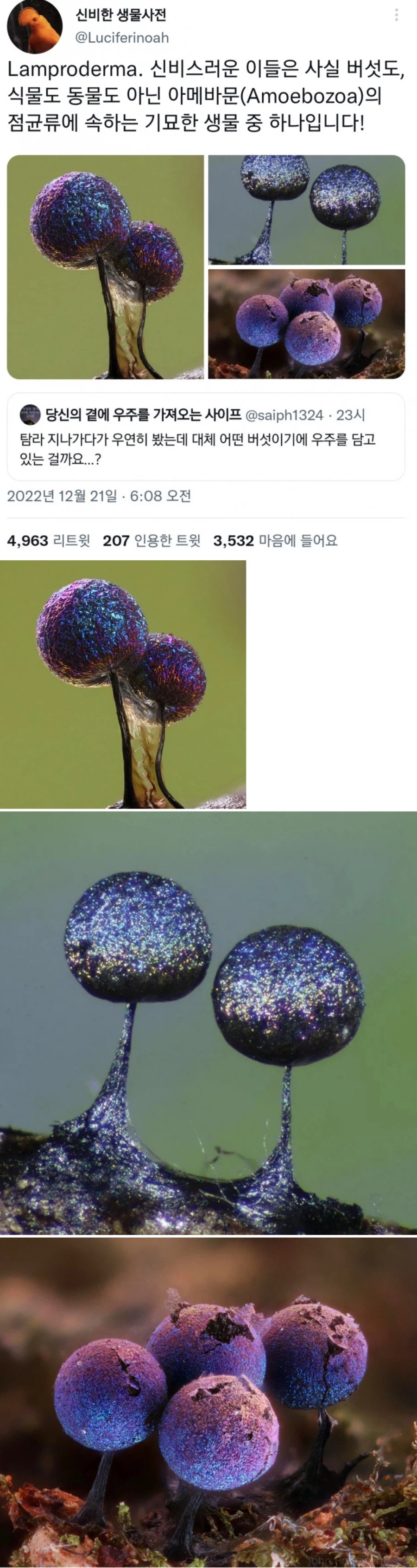 의외로 실존하는 기묘한 생물_1.webp