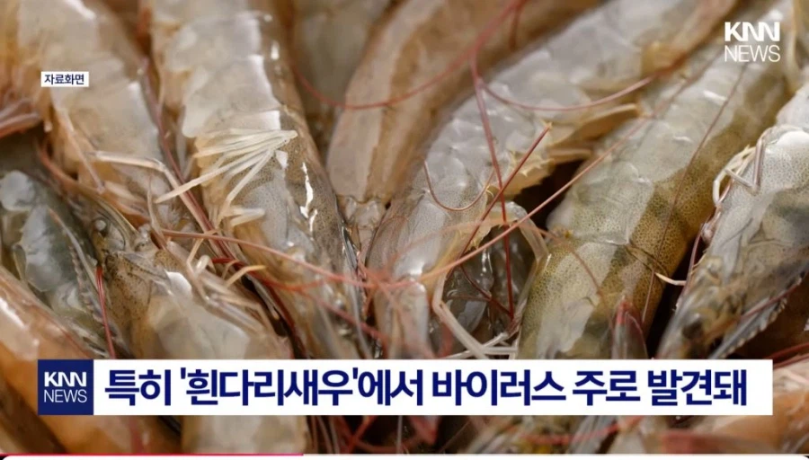 중국발 미스테리 눈병_3.webp