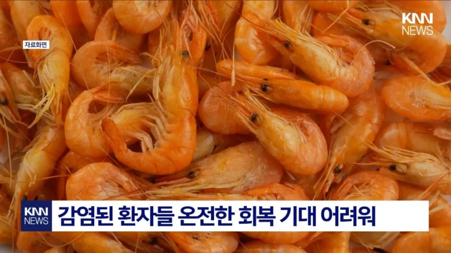 중국발 미스테리 눈병_5.webp