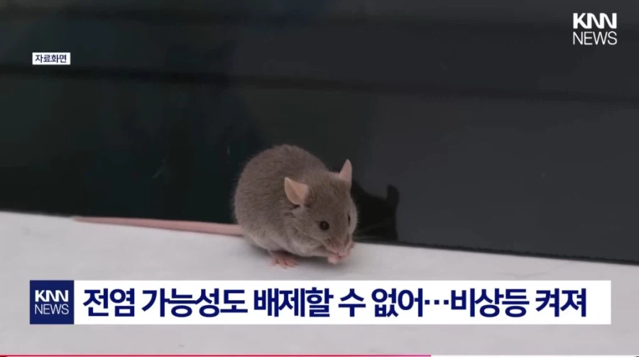 중국발 미스테리 눈병_6.webp