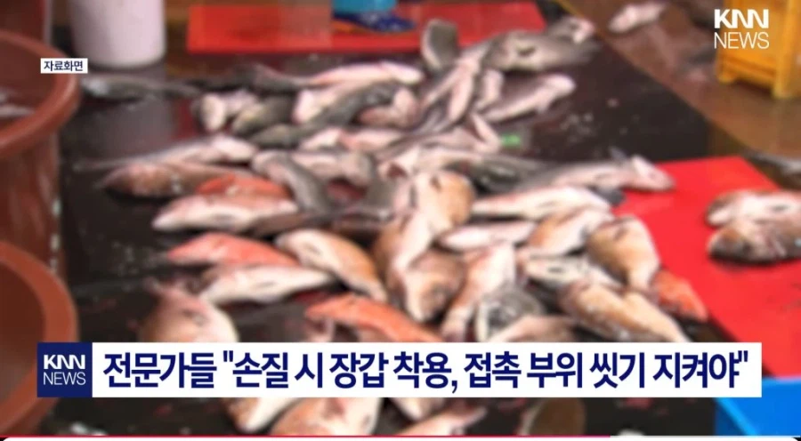 중국발 미스테리 눈병_7.webp