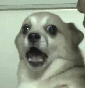 어느 피붕이의 세관고로시_3.webp