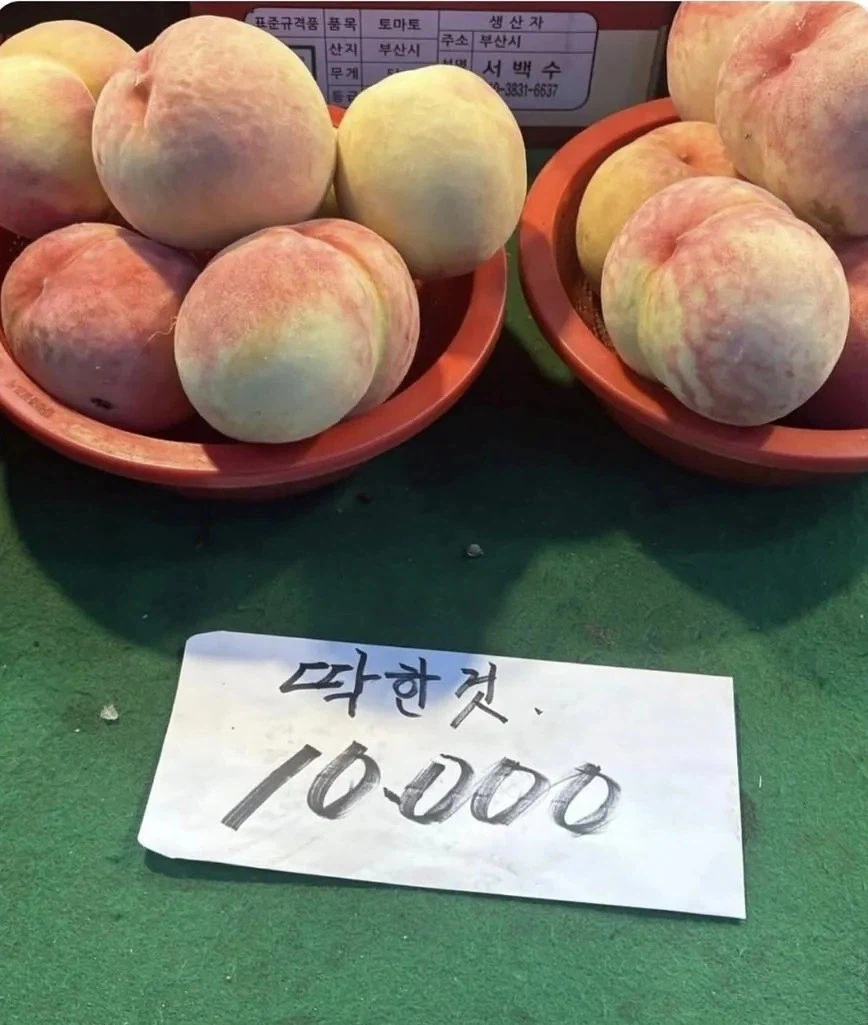 과일 사러 왔는데 복숭아가 너무 불쌍해_1.webp