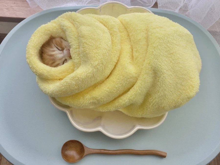 일본 전통 풍습.jpg_2.webp