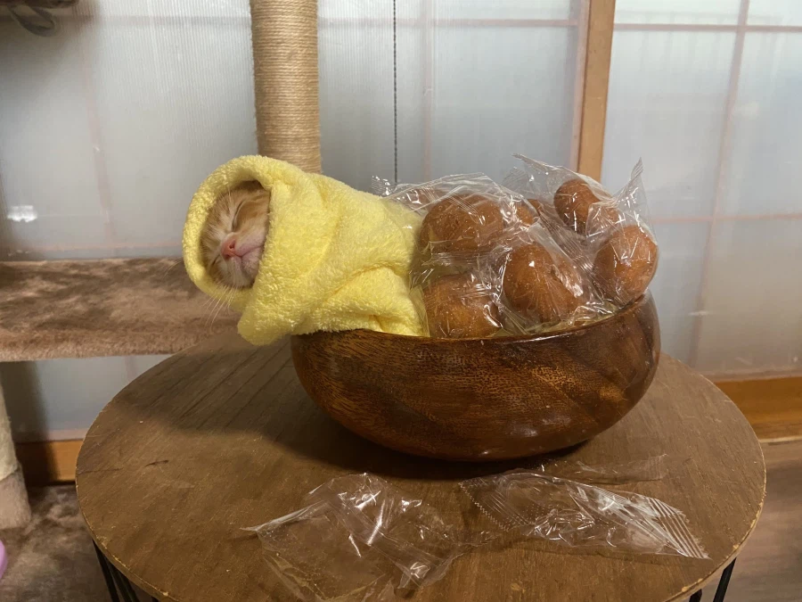 일본 전통 풍습.jpg_4.webp