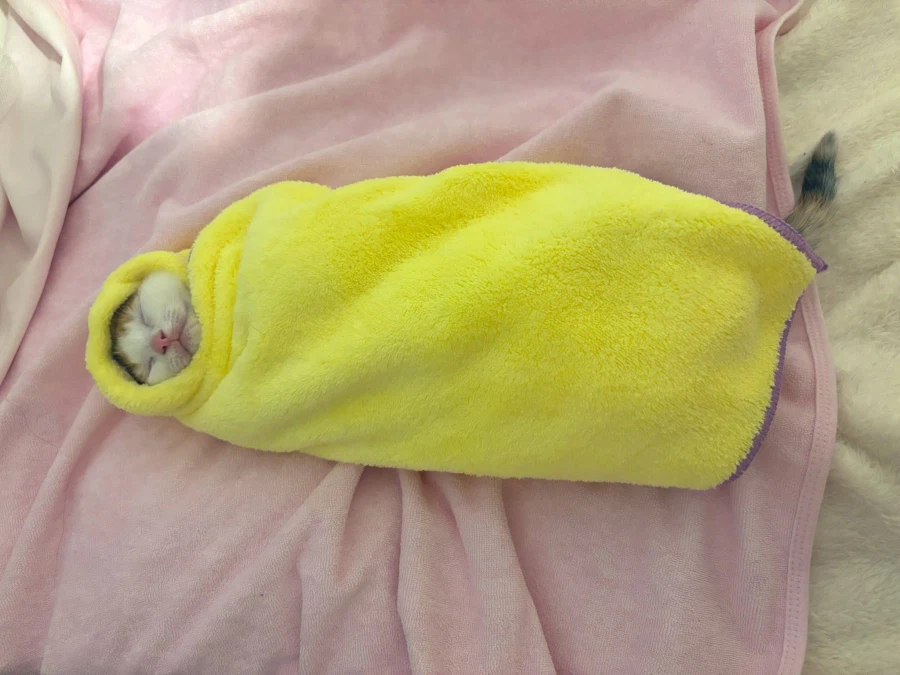 일본 전통 풍습.jpg_5.webp