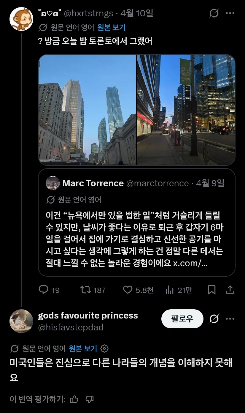 뉴욕에서만 있을 수 있는 일.jpg_2.webp