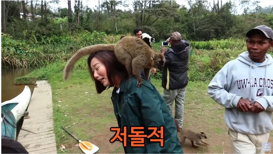 사람이 많이 익숙한 원숭이들_2.webp