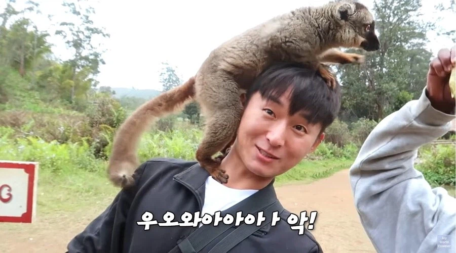 사람이 많이 익숙한 원숭이들_3.webp