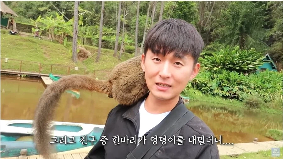 사람이 많이 익숙한 원숭이들_6.webp