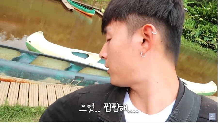 사람이 많이 익숙한 원숭이들_10.webp