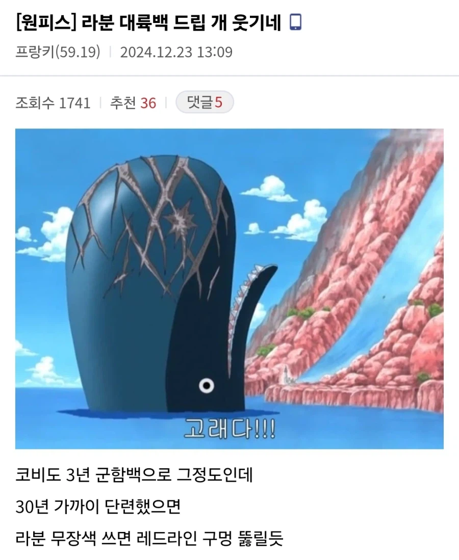 원피스 라분이 검은 고래인 이유_1.webp