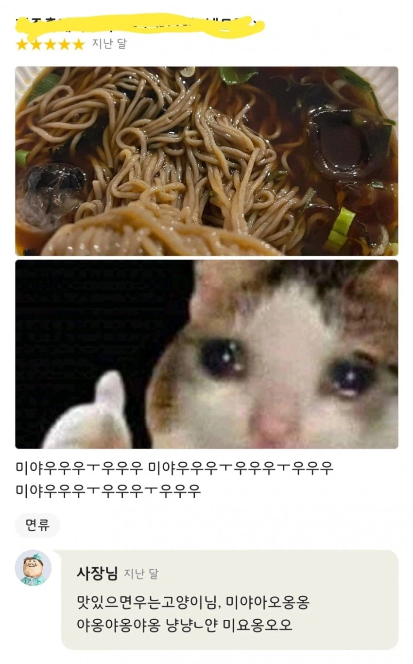 맛있으면 우는 고양이_2.webp