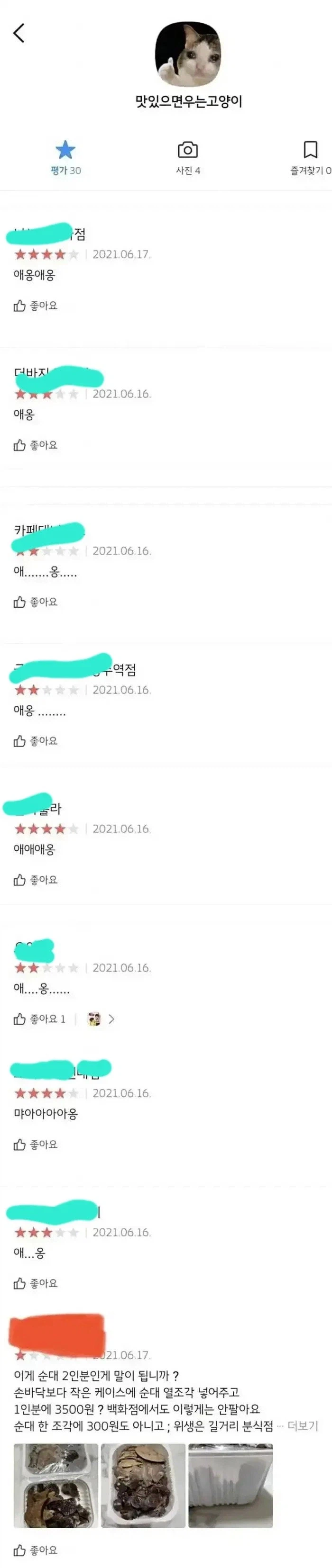 맛있으면 우는 고양이_8.webp