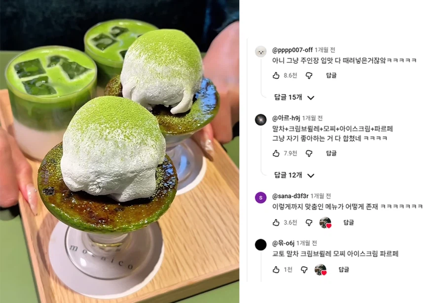 말차랑 크림브륄레랑 모찌랑 빙과류에 환장하는 유튜버의 팬들이 놀란 이유_1.webp