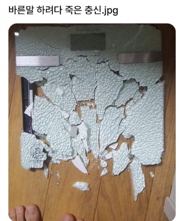 귀공깨서 날 으스러트려 죽이실거라 해도 난 바른 말만 할것이오!_1.webp