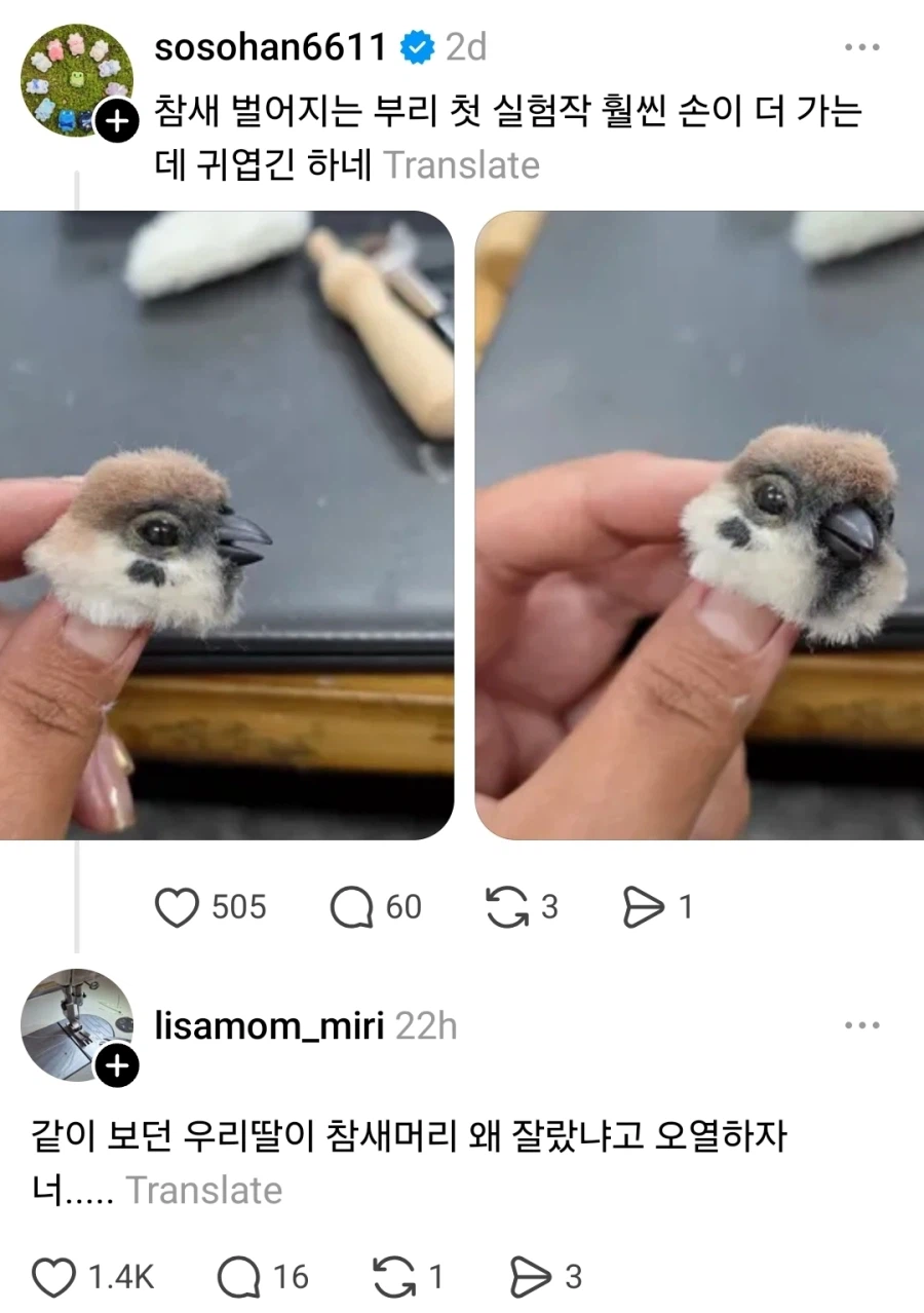 참새 머리 왜 잘랐어 ㅜㅜ_1.webp