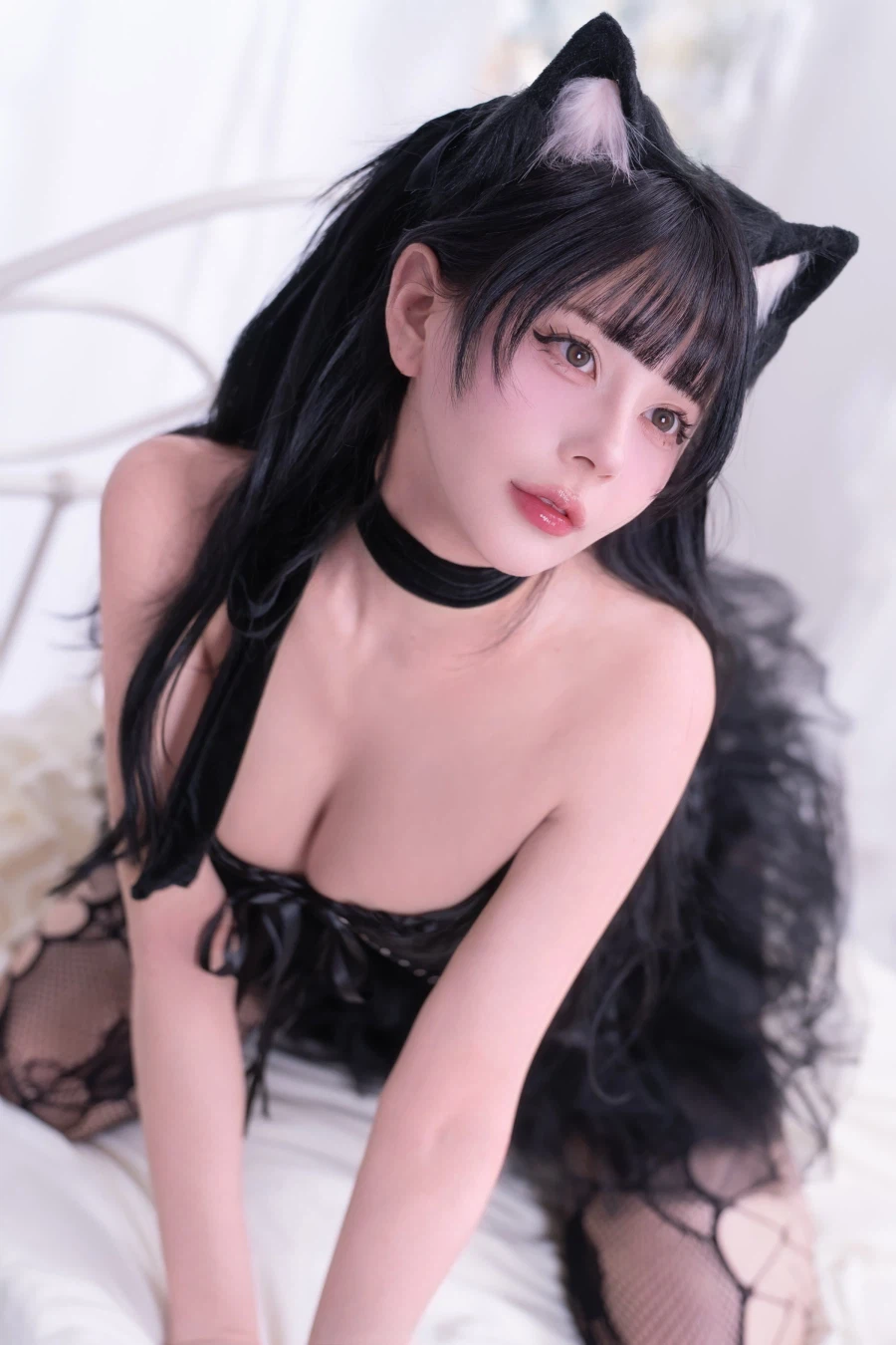 고양이 사진_3.webp