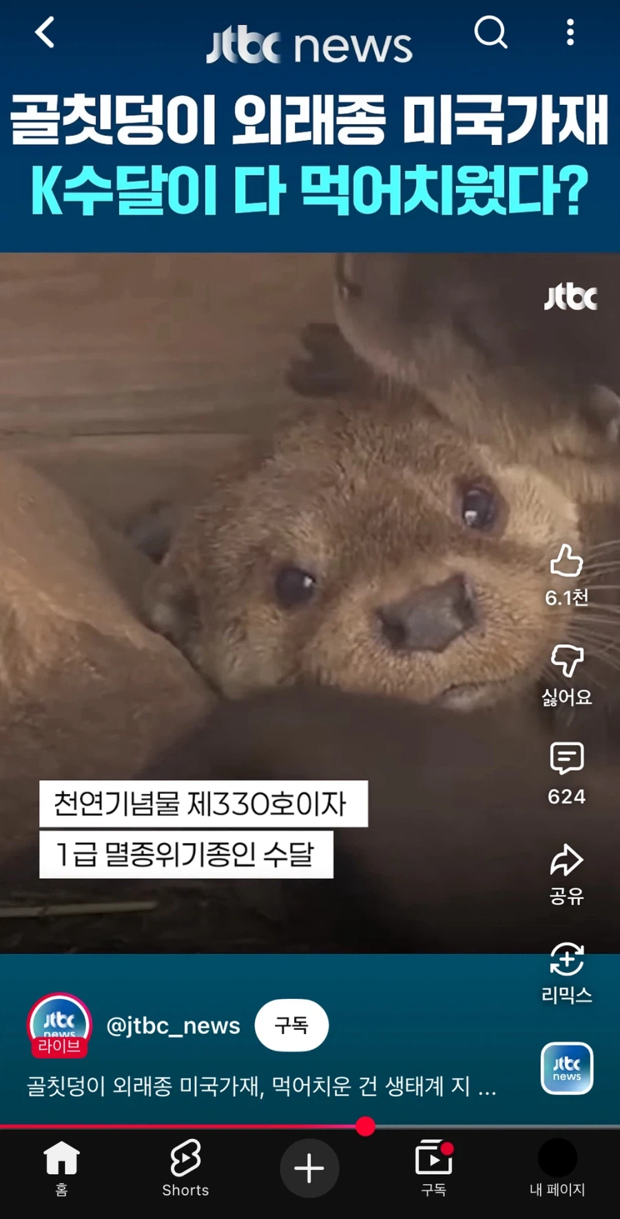 국내 생태계 교란종인 미국가재 수가 급감한 이유_2.webp