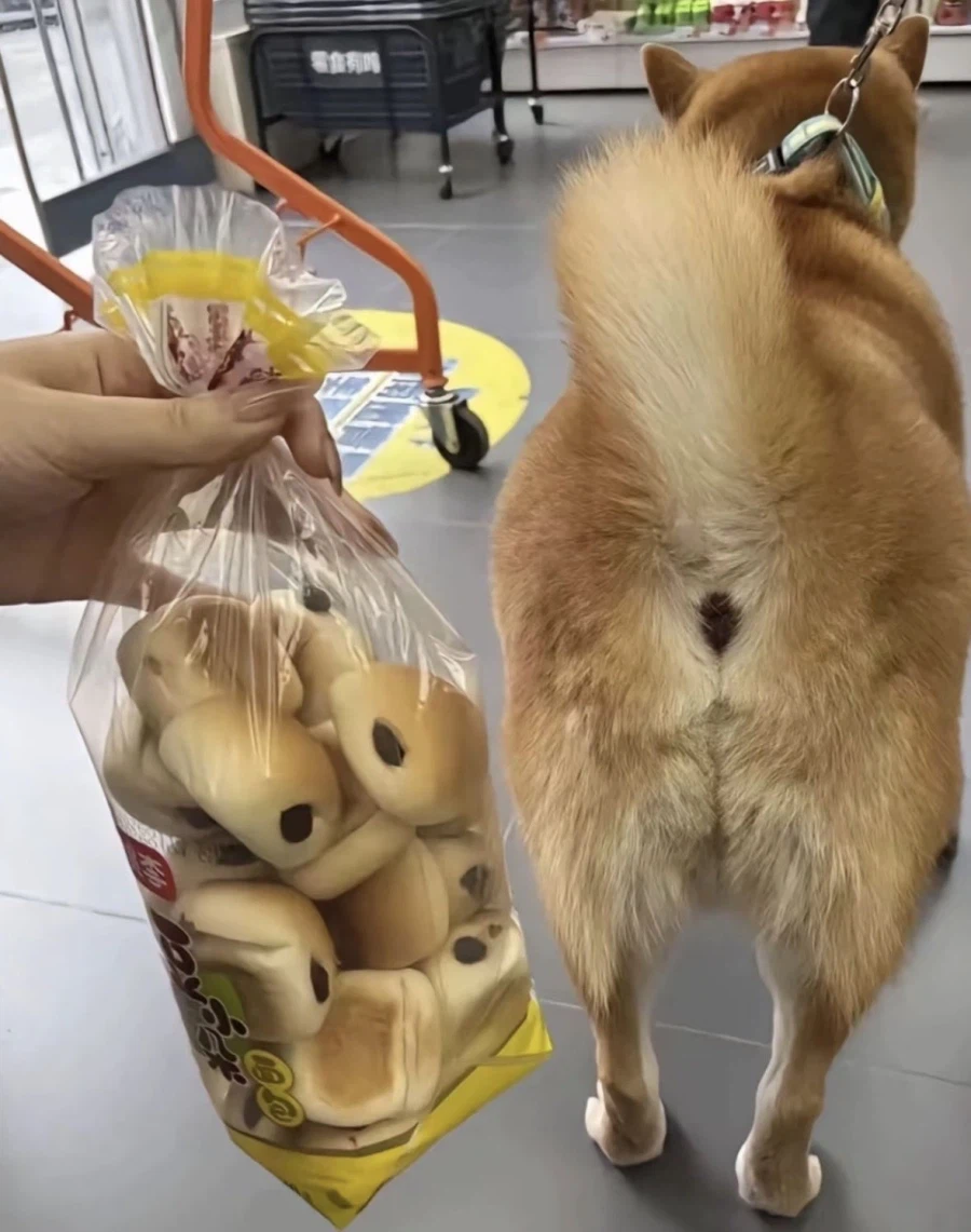 빵을 샀는데 기분이 오묘~하다_1.webp