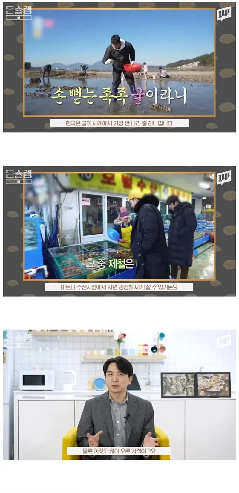 유럽에서 굴이 비싼 이유_1.webp