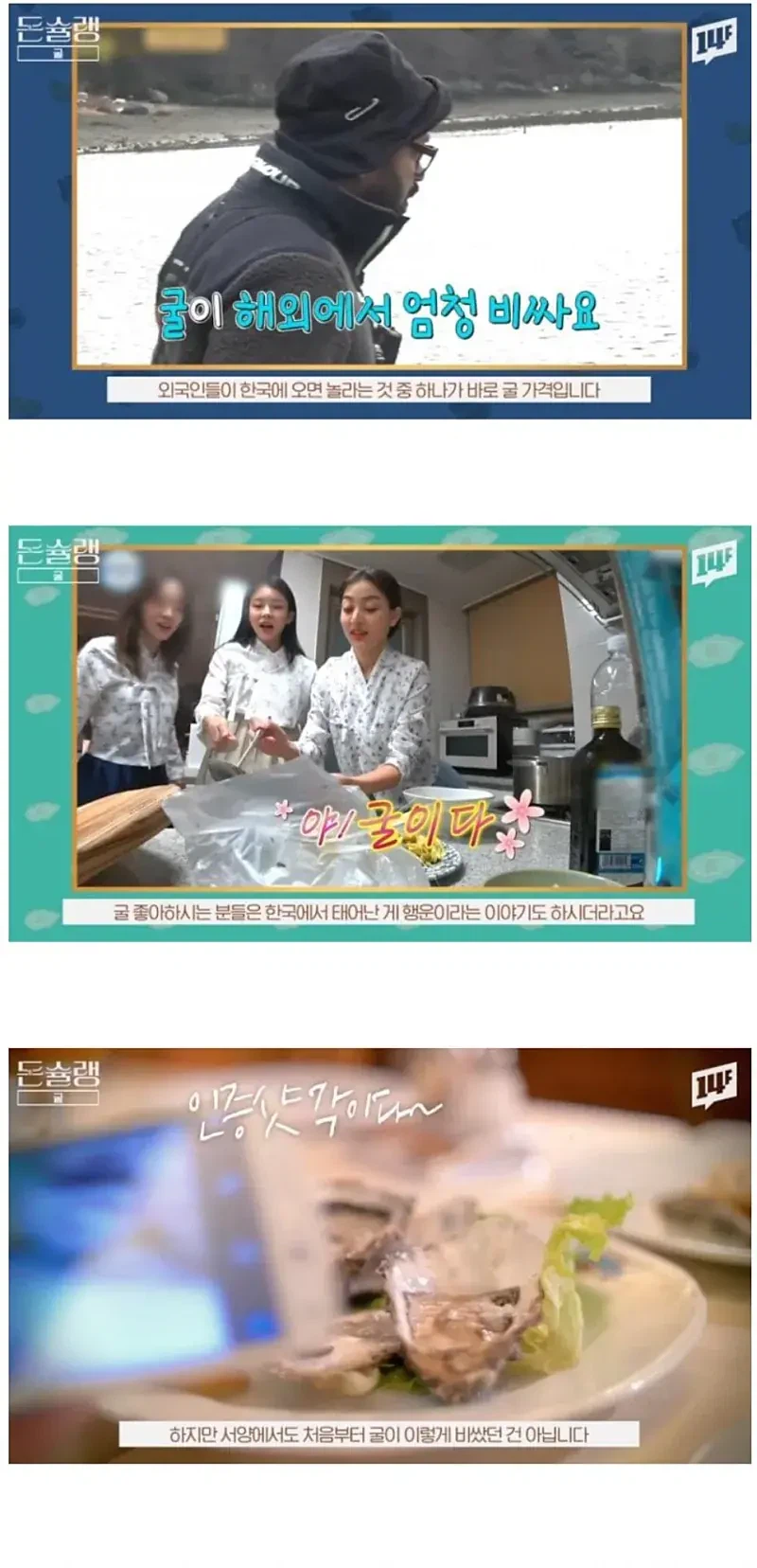 유럽에서 굴이 비싼 이유_2.webp