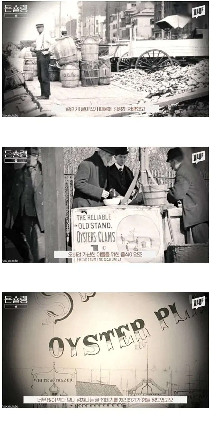 유럽에서 굴이 비싼 이유_3.webp