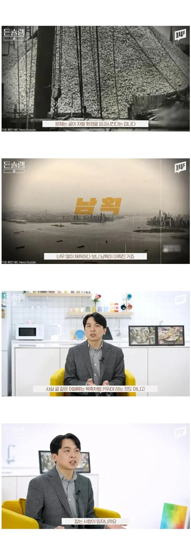 유럽에서 굴이 비싼 이유_7.webp