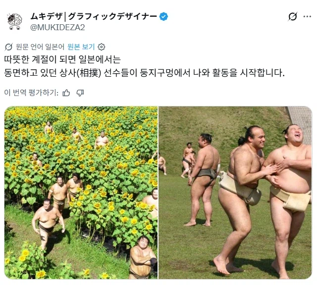 따뜻한 봄이 되면 일본에서 보이는 풍경.jpg_1.webp