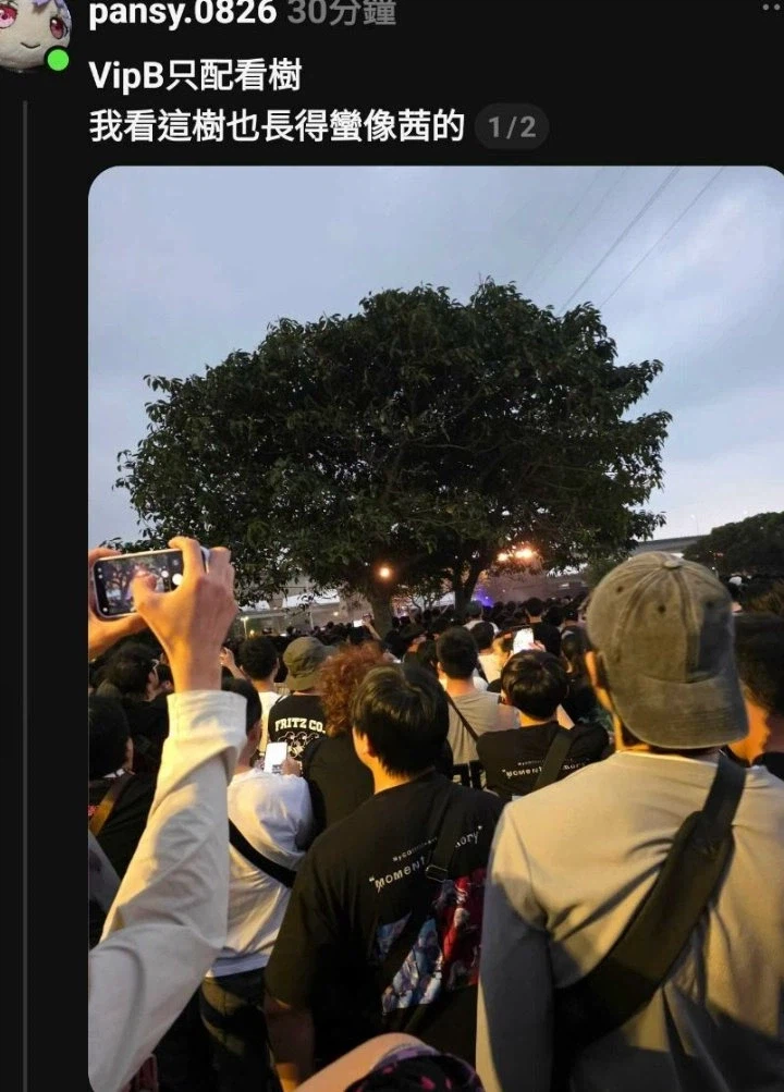 불판으로 시작해 불판으로 끝난 대만 방도리 라이브_2.webp