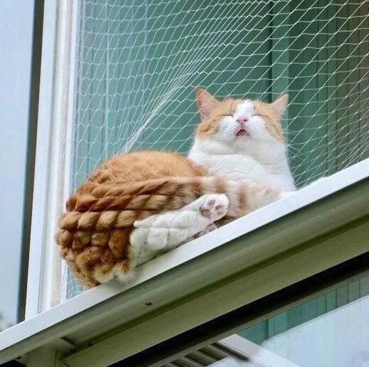 메론 빵의 무서운 진실_2.webp