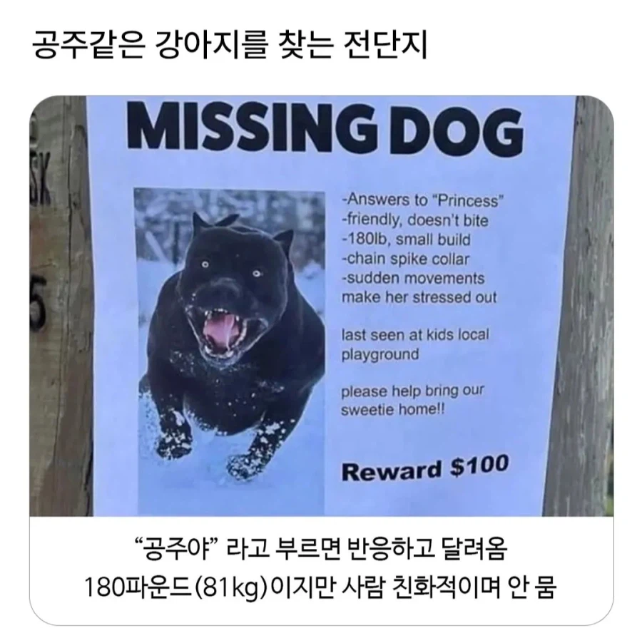 용사가 안구해줘서 강해진 공주_1.webp