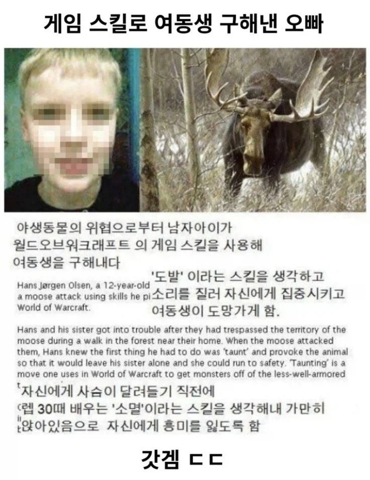 게임 스킬로 여동생 구해낸 오빠_1.webp