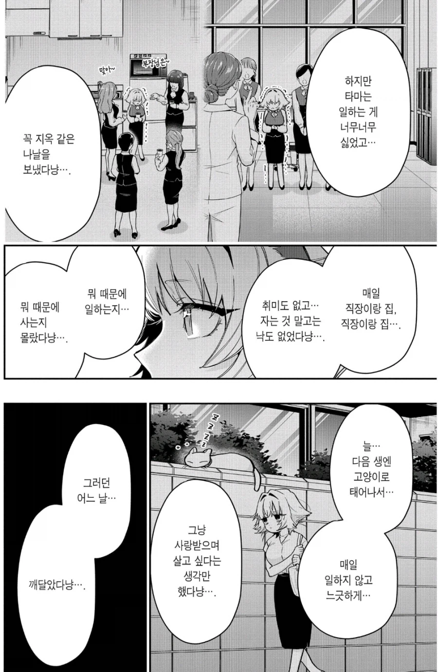 100여친)사람이 고양이가 되기로 한 이유_2.webp