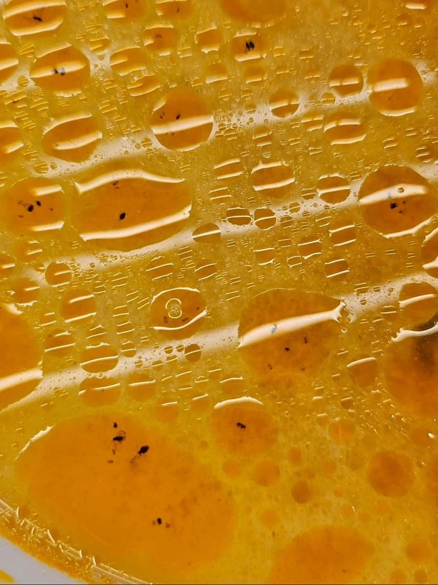 샤브샤브에 단백질 추가 ㄷㄷㄷ_2.webp