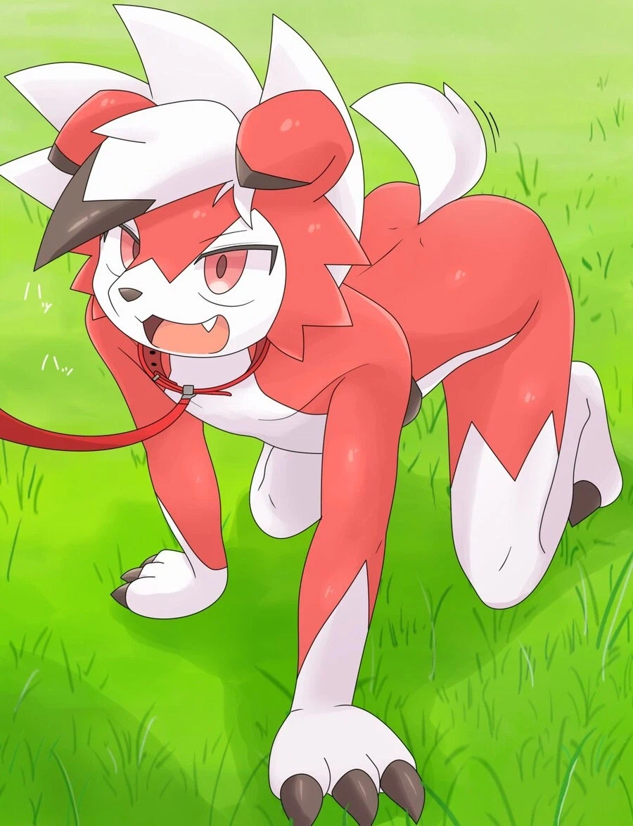 조금 수상하지만 귀여운 동물 칭구들_5.webp