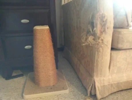 고우앵이 특_1.webp