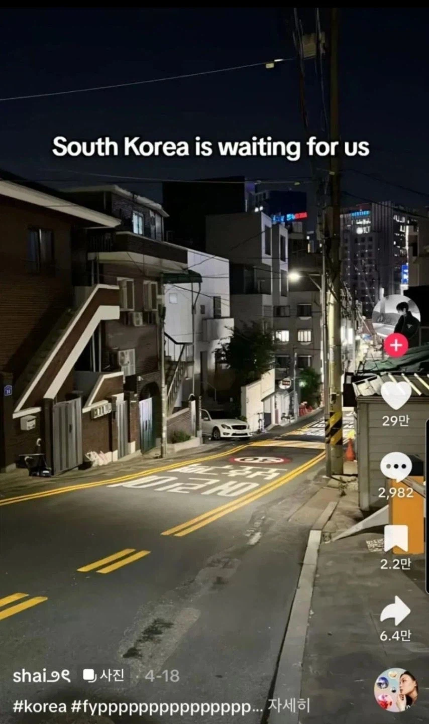 외국에서 좋아요 29만개 받은 한국 사진_1.webp