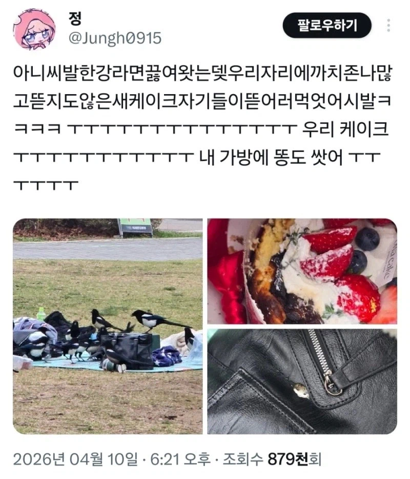 한강에서 패거리로 몰려와 남의 음식을 강탈하는_1.webp