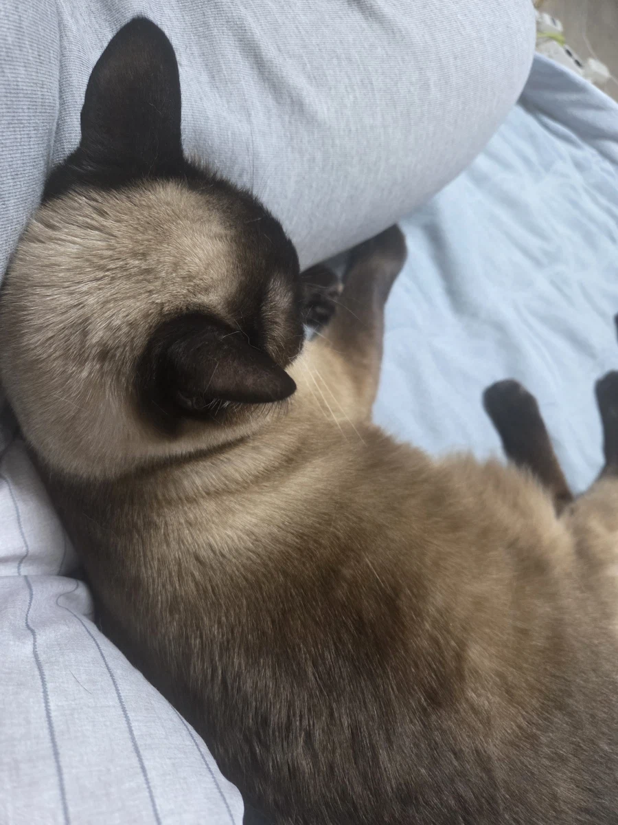 화장실 가고 싶은데 못 일어나고 있음..._1.webp