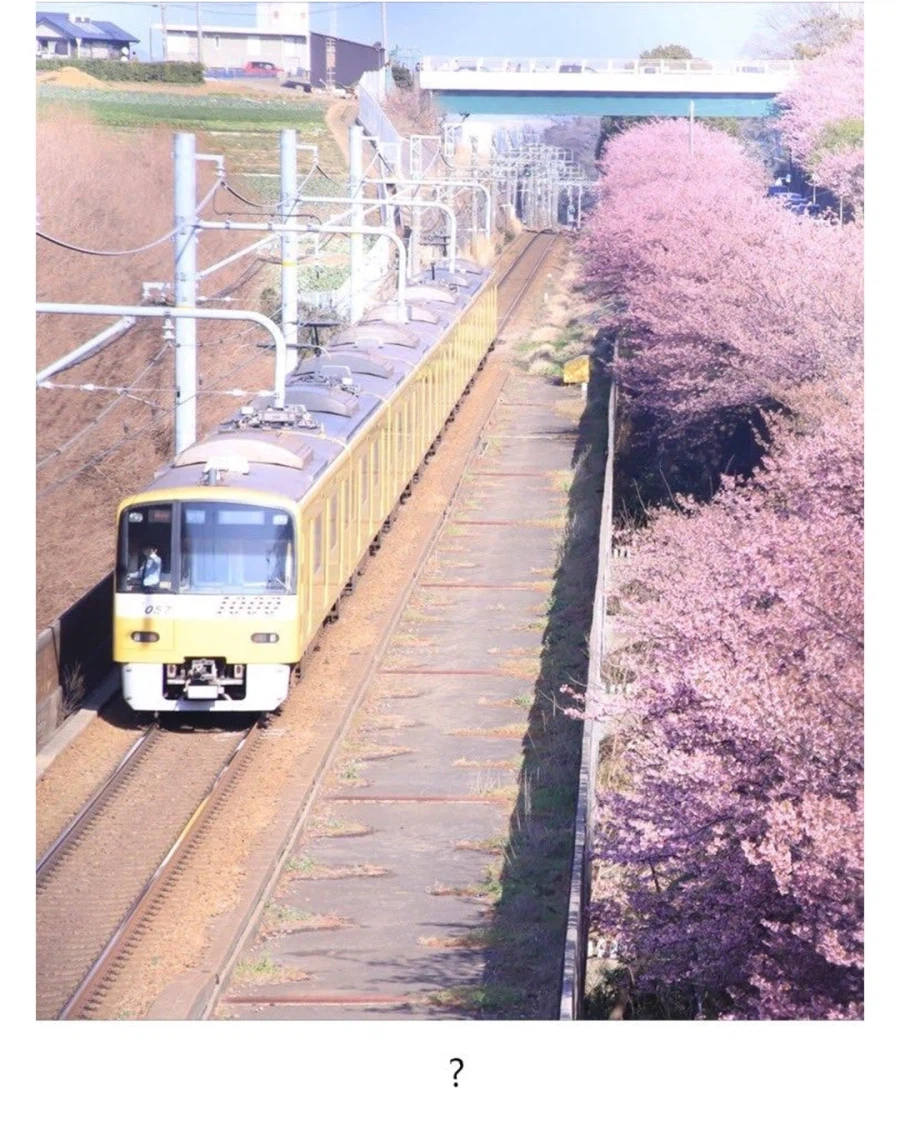 벚꽃과 기차사진_2.webp