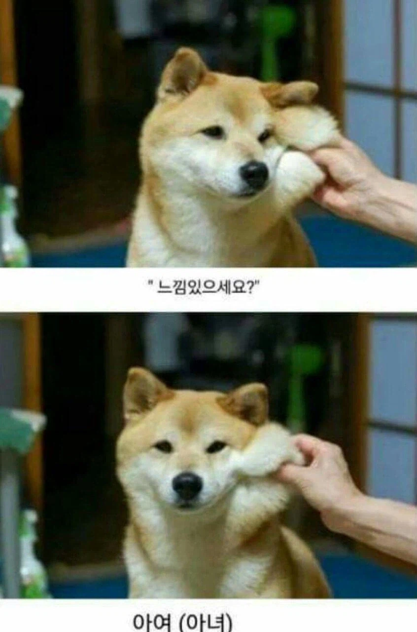 치과 마취주사의 효과_1.webp