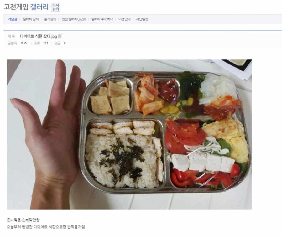 다이어트 식판 알차게 쓰는 법_1.webp