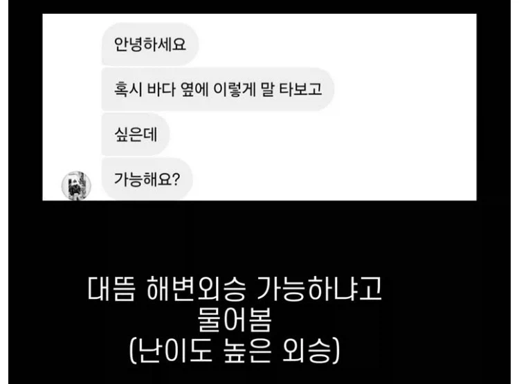 ??? : 저.. 고객님.. 단독 해변승마는 승마 경험이 많아야 가능하세요_1.webp