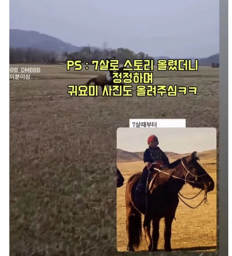 ??? : 저.. 고객님.. 단독 해변승마는 승마 경험이 많아야 가능하세요_5.webp