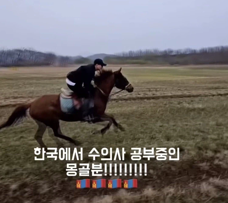 ??? : 저.. 고객님.. 단독 해변승마는 승마 경험이 많아야 가능하세요_6.webp