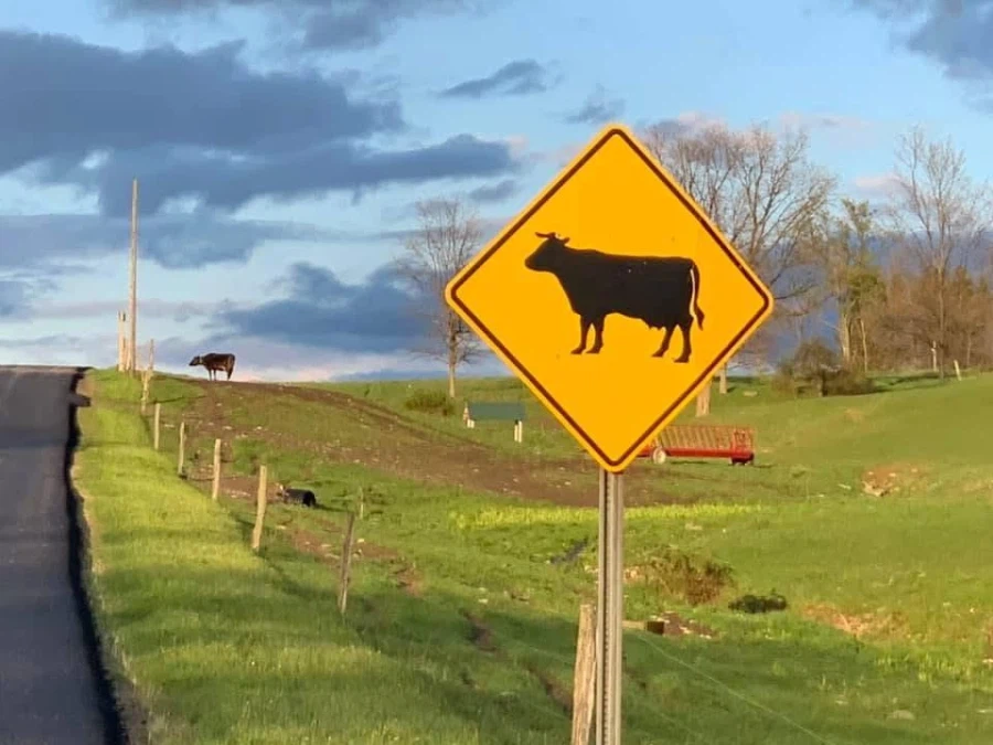 우리 조땐거 같은데.._1.webp