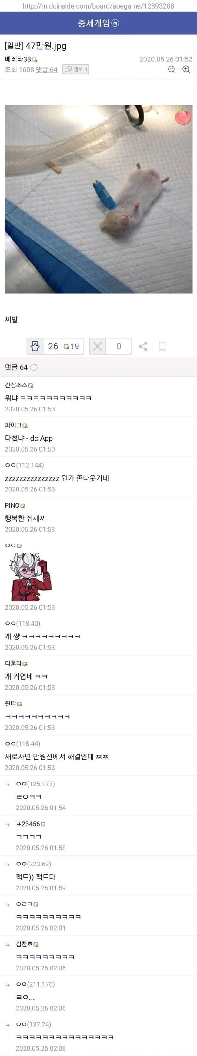 동물병원에 간 디씨유저.._1.webp