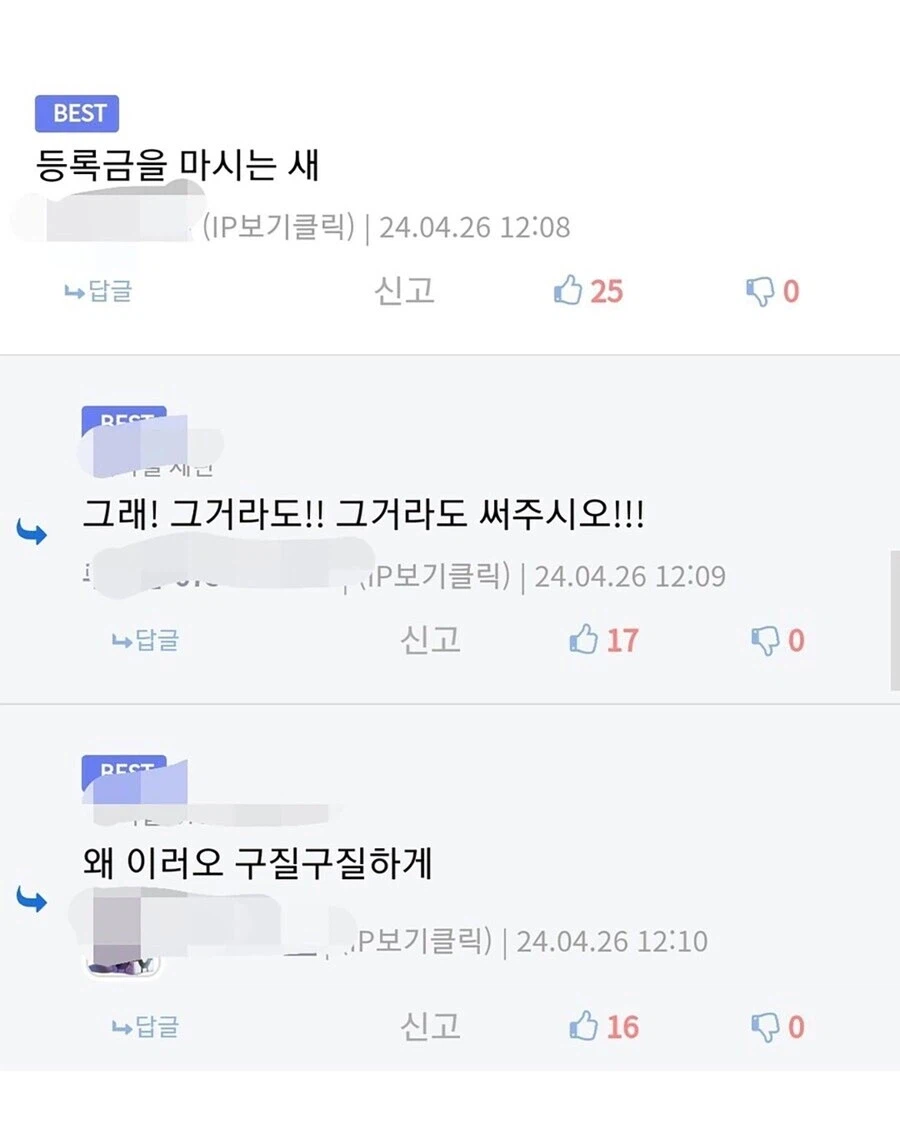 한성대 캠퍼스에서 살고 있는 닭._3.webp