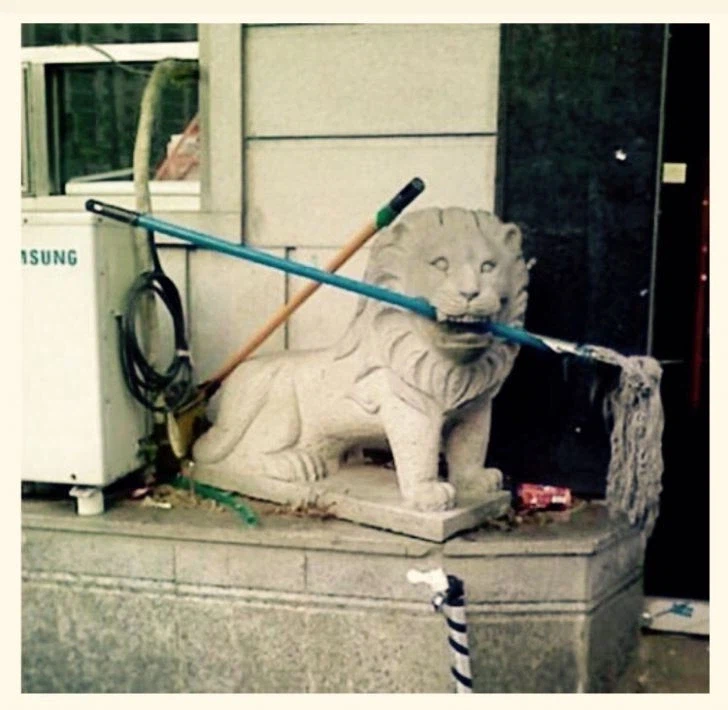 이 새키... 입에 걸레를 물었네._1.webp